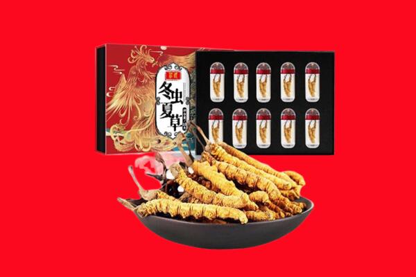 武陟县回收虫草.jpg